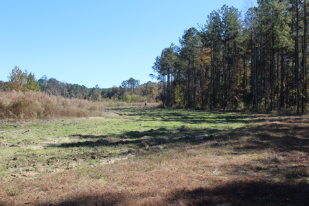 Waterfront Property on Middle Fork Creek Franklin County MS - image 34