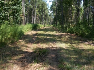 Waterfront Property on Middle Fork Creek Franklin County MS - image 5