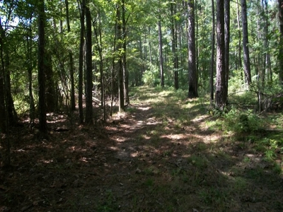 Waterfront Property on Middle Fork Creek Franklin County MS - image 23