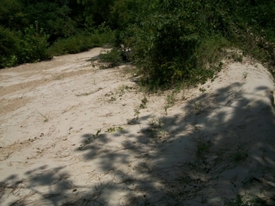 Waterfront Property on Middle Fork Creek Franklin County MS - image 17