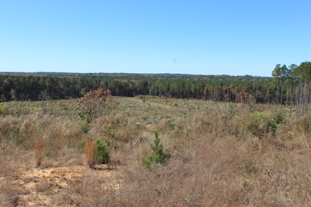 Waterfront Property on Middle Fork Creek Franklin County MS - image 36