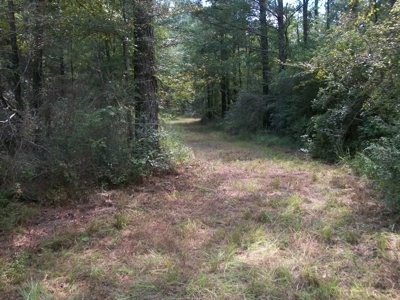 Waterfront Property on Middle Fork Creek Franklin County MS - image 8