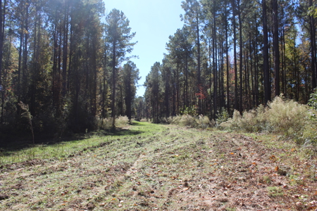 Waterfront Property on Middle Fork Creek Franklin County MS - image 27