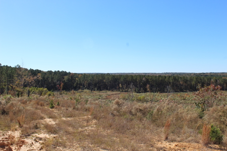 Waterfront Property on Middle Fork Creek Franklin County MS - image 37