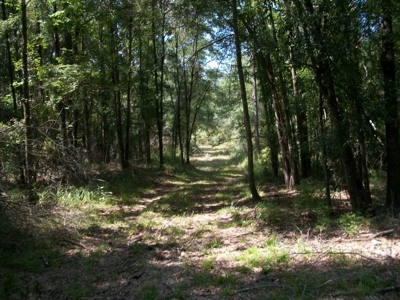 Waterfront Property on Middle Fork Creek Franklin County MS - image 9