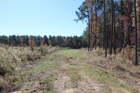 Waterfront Property on Middle Fork Creek Franklin County MS - image 29