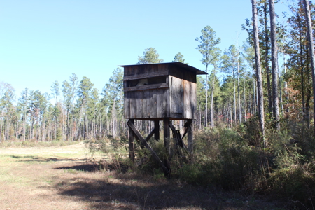 Waterfront Property on Middle Fork Creek Franklin County MS - image 38