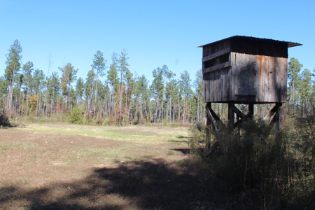 Waterfront Property on Middle Fork Creek Franklin County MS - image 39