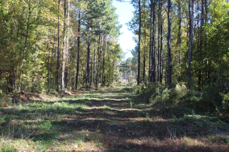 Waterfront Property on Middle Fork Creek Franklin County MS - image 28