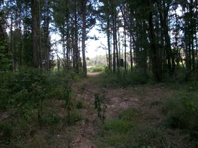 Waterfront Property on Middle Fork Creek Franklin County MS - image 24