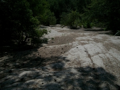 Waterfront Property on Middle Fork Creek Franklin County MS - image 16