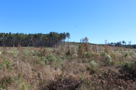 Waterfront Property on Middle Fork Creek Franklin County MS - image 31