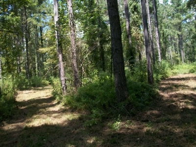 Waterfront Property on Middle Fork Creek Franklin County MS - image 22