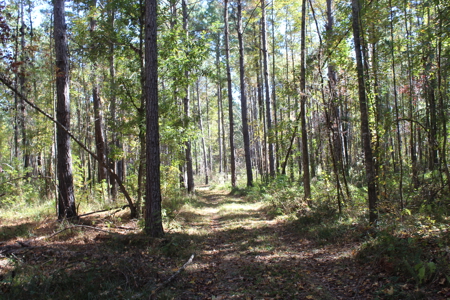 Waterfront Property on Middle Fork Creek Franklin County MS - image 47