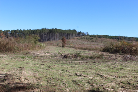 Waterfront Property on Middle Fork Creek Franklin County MS - image 33