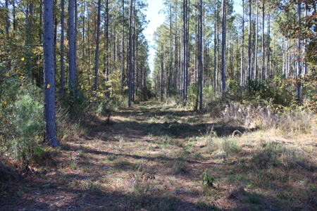 Waterfront Property on Middle Fork Creek Franklin County MS - image 49