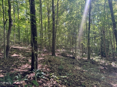 100 Acres By Deed In Hancock County, Tennessee - image 25