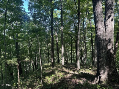 100 Acres By Deed In Hancock County, Tennessee - image 18