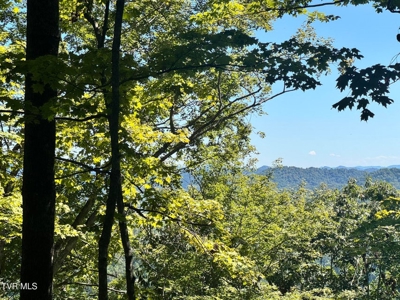 100 Acres By Deed In Hancock County, Tennessee - image 20