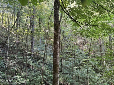 100 Acres By Deed In Hancock County, Tennessee - image 33