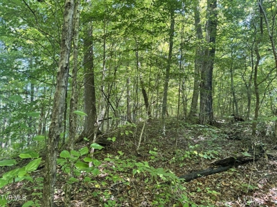 100 Acres By Deed In Hancock County, Tennessee - image 29