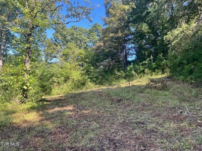 100 Acres By Deed In Hancock County, Tennessee - image 10