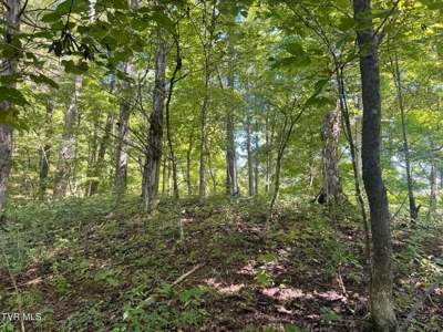 100 Acres By Deed In Hancock County, Tennessee - image 16