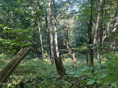 100 Acres By Deed In Hancock County, Tennessee - image 22