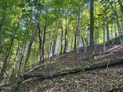 100 Acres By Deed In Hancock County, Tennessee - image 13