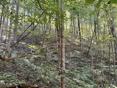 100 Acres By Deed In Hancock County, Tennessee - image 48