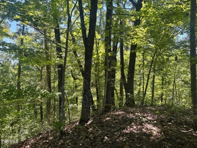 100 Acres By Deed In Hancock County, Tennessee - image 14