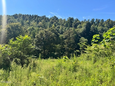 100 Acres By Deed In Hancock County, Tennessee - image 28
