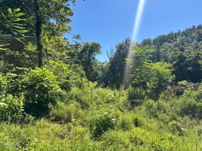 100 Acres By Deed In Hancock County, Tennessee - image 27