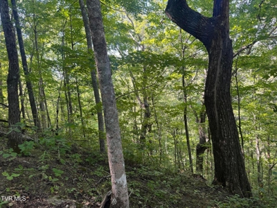 100 Acres By Deed In Hancock County, Tennessee - image 17