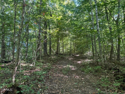 100 Acres By Deed In Hancock County, Tennessee - image 26