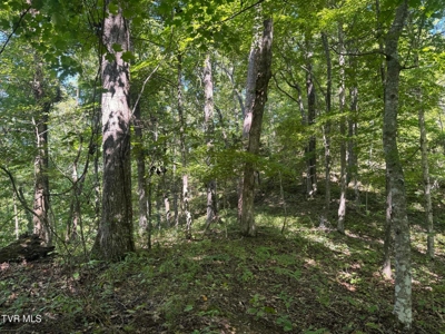 100 Acres By Deed In Hancock County, Tennessee - image 15