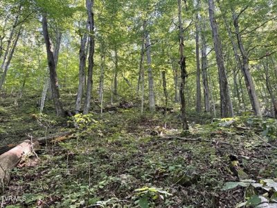 100 Acres By Deed In Hancock County, Tennessee - image 47