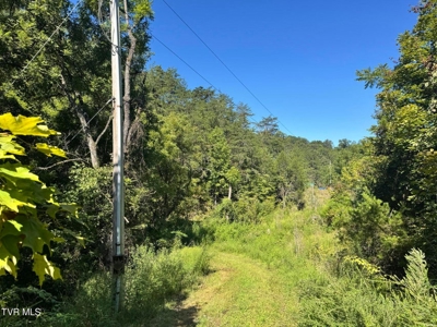 100 Acres By Deed In Hancock County, Tennessee - image 39