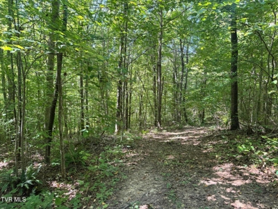100 Acres By Deed In Hancock County, Tennessee - image 23