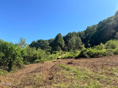 100 Acres By Deed In Hancock County, Tennessee - image 1