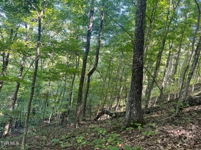 100 Acres By Deed In Hancock County, Tennessee - image 12