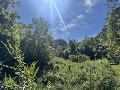 100 Acres By Deed In Hancock County, Tennessee - image 8