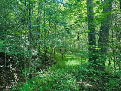 100 Acres By Deed In Hancock County, Tennessee - image 37