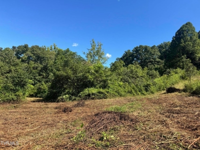 100 Acres By Deed In Hancock County, Tennessee - image 3