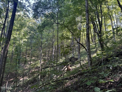100 Acres By Deed In Hancock County, Tennessee - image 32