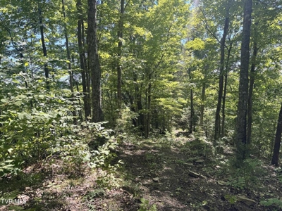 100 Acres By Deed In Hancock County, Tennessee - image 21