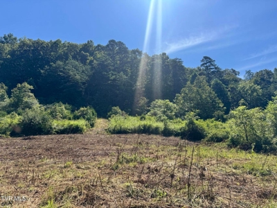 100 Acres By Deed In Hancock County, Tennessee - image 2