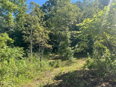 100 Acres By Deed In Hancock County, Tennessee - image 7