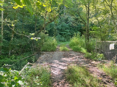 100 Acres By Deed In Hancock County, Tennessee - image 45