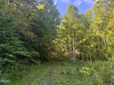 100 Acres By Deed In Hancock County, Tennessee - image 43